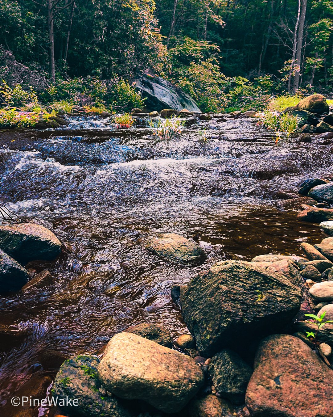 Bard Falls Pisgah National Forest